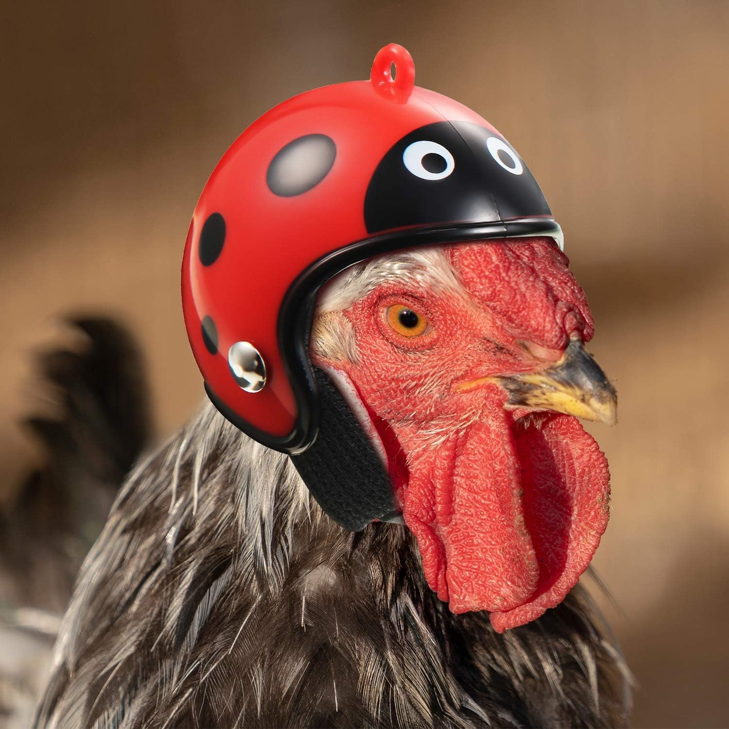 8 Pieces Hen Helmet Pet Safety Headwear - Funny Bird Hat for Chicken, Parrot, Parakeet - Small Pet Hard Hat Costume Accessories (Animal, Camouflage)